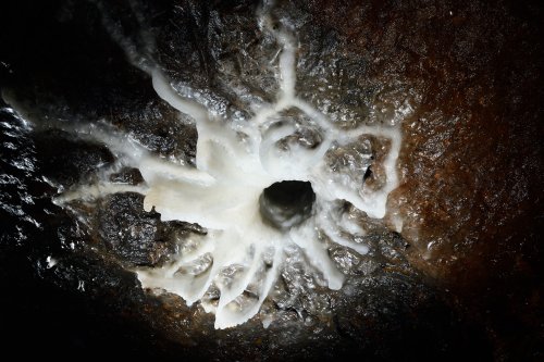 Spéléodrome de Villers-lès-Nancy - Fleur de calcite au plafond au débouché d'un forage drainant l'eau contenu dans un  aquifère supérieur (format horizontal, vue de dessous)(SP-19-1902)